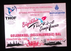 2014 THOF Büyükler Türkiye Şampiyonası Sonuçları